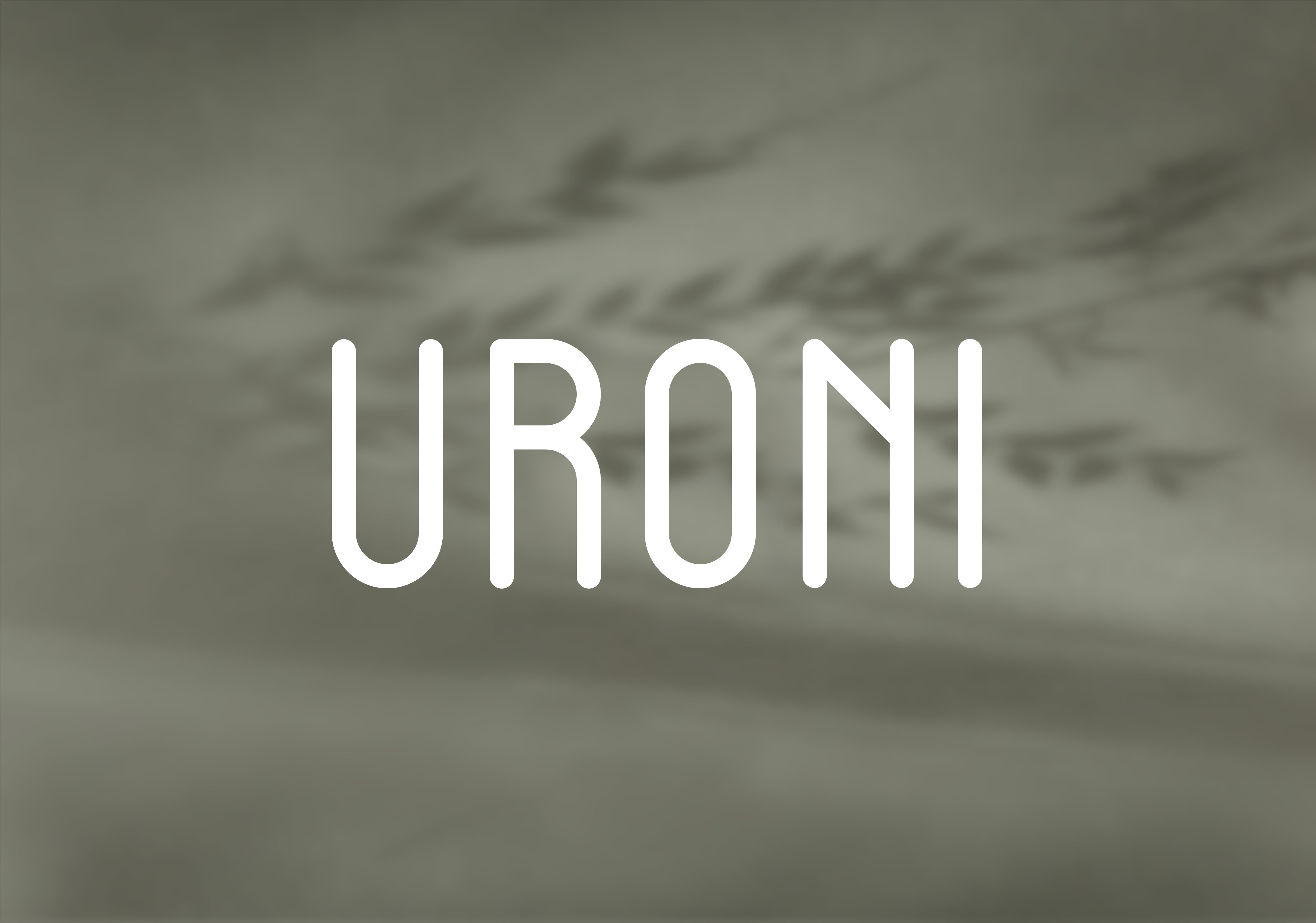 Uroni Case 01