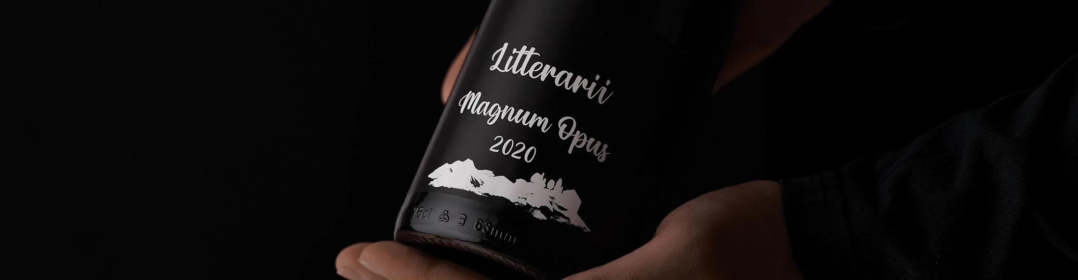 Litterarii Hero 2116x550