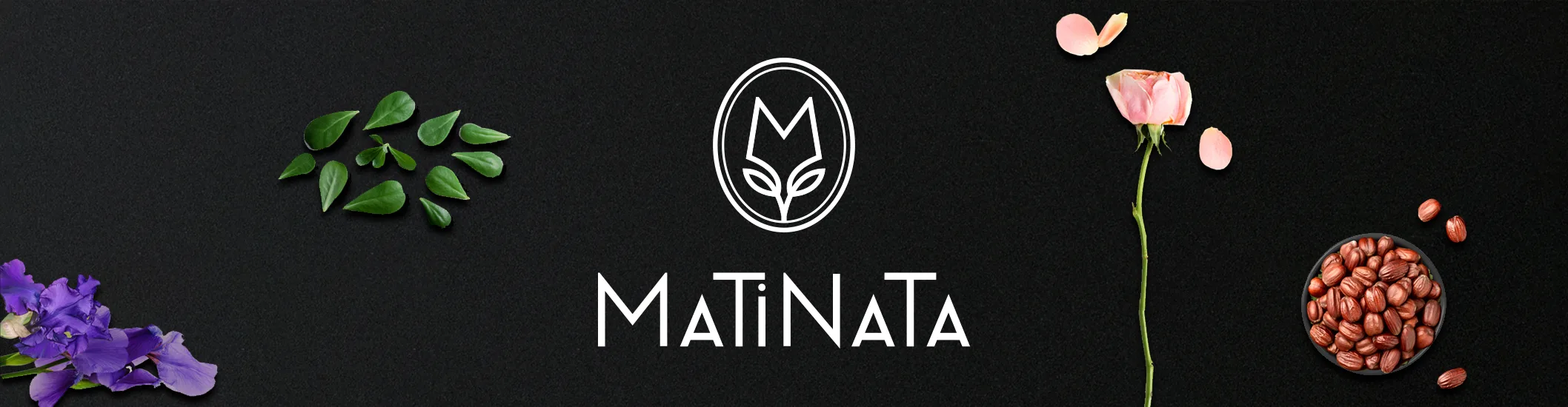 Matinata Hero 2116x550